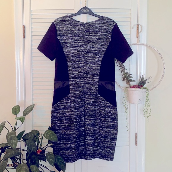 🧁Dynamite gray/black professional dress - Picture 4 of 5
